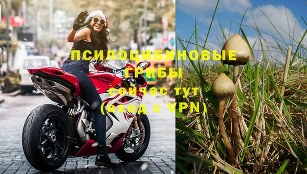 spice Балахна